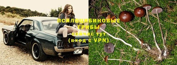 скорость Аркадак