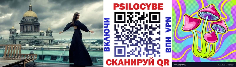 купить  сайты  blacksprut как войти  Псилоцибиновые грибы Psilocybe  Чудово 